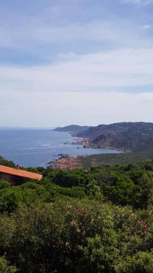 Villa Unica - Appartamenti Alba E Tramonto Isola Rossa Dış mekan fotoğraf